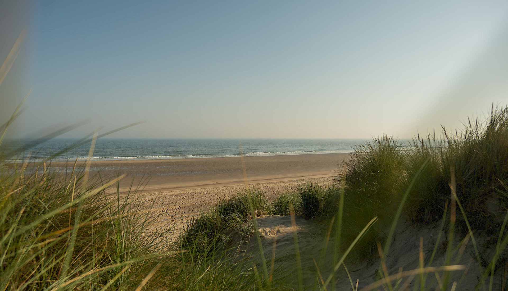 Beach and dunes
