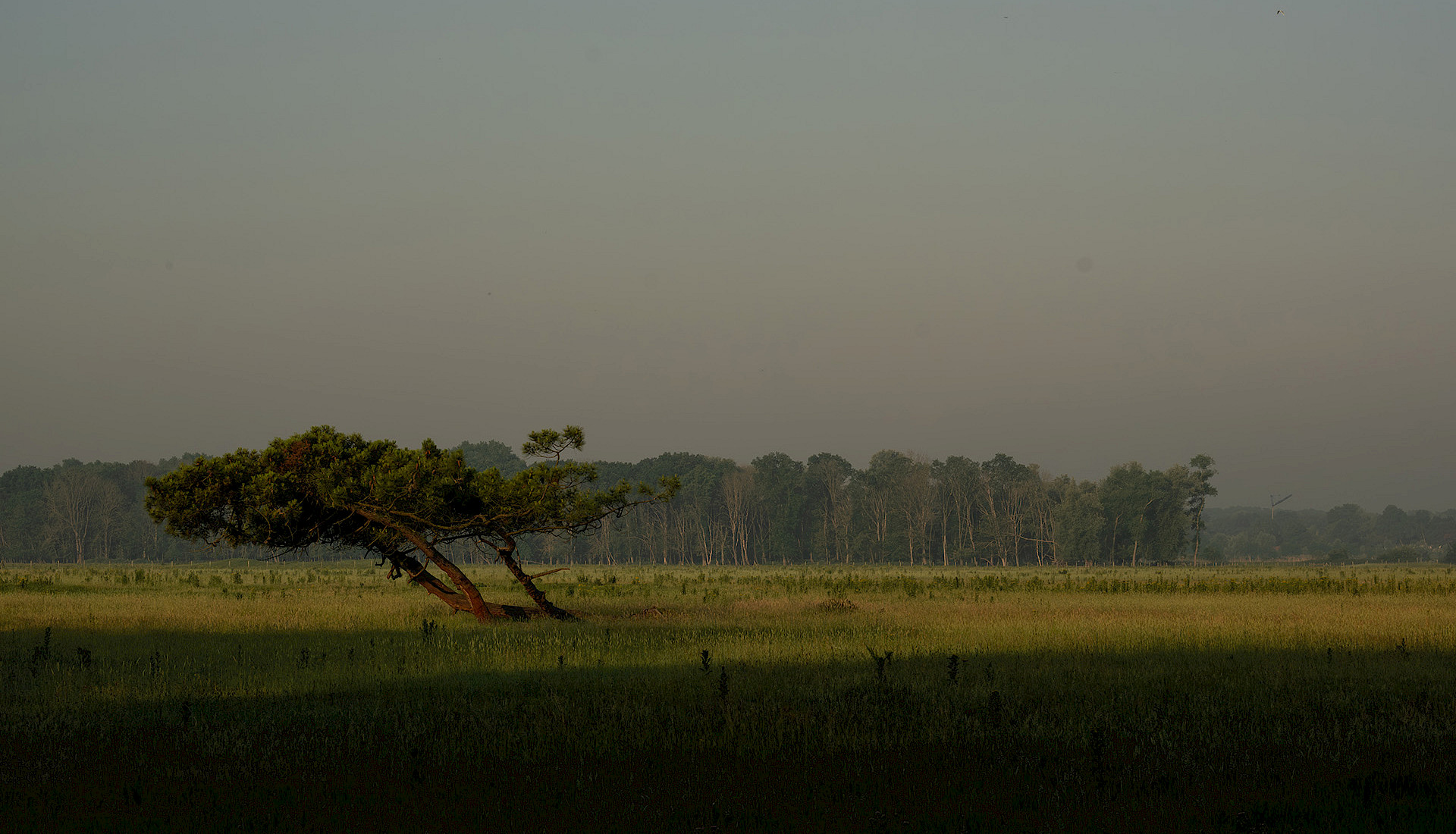 Zwin Natuur Park